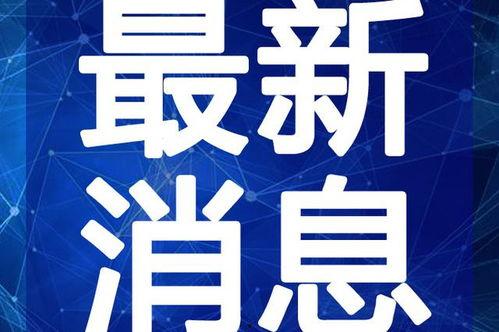 白山希尔顿爆料视频最新,事件背后惊人真相曝光